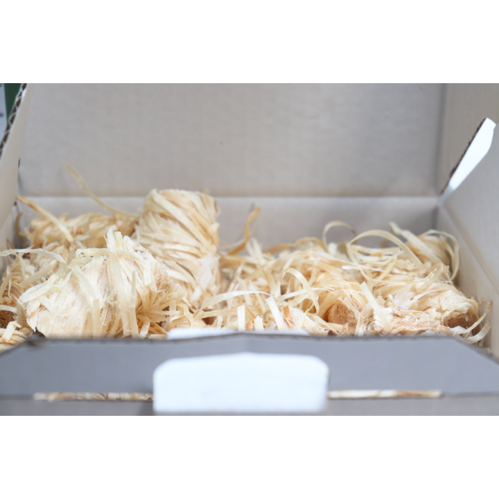 Accendifuoco in lana di legno 100% naturale - FOREST LIGHTER - Capska