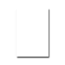 Vertical Plain Wall Protection Color White - Height 100cm