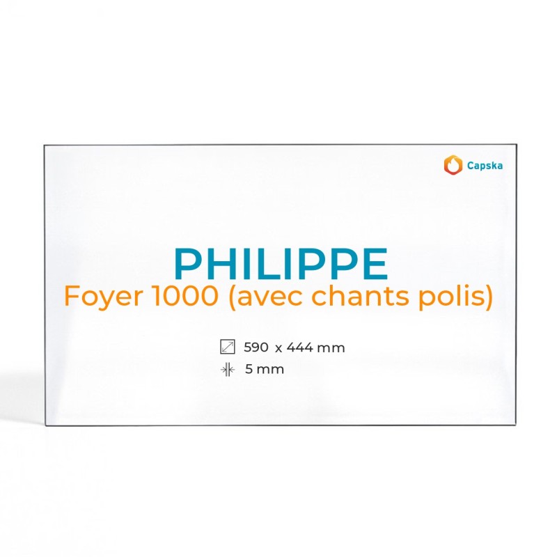 Philippe FOYER 1000 Glass Panel - Fireplace Insert