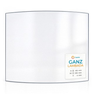 Ganz LAMBADA Glass Panel for Wood Burning Stove