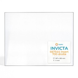 Vitre Invicta 667544 INSERT 700 DROITE - Verre Rectangle Latéral pour insert