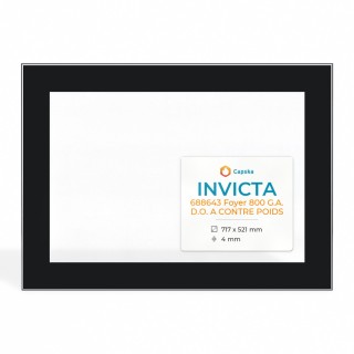 Invicta 688643 FOYER 800 Glass Panel for Fireplace Insert