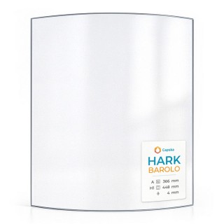 HARK BAROLO Curved Glass Panel for Wood Burning Stove
