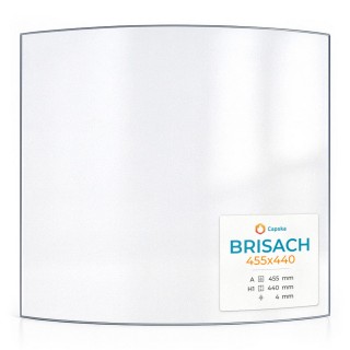 Vetro Brisach 455X440 - Vetro Curvo per stufa a legna