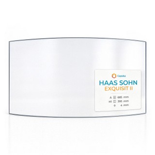 Haas Sohn EXQUISIT II Glass - Curved Fireplace Insert Panel