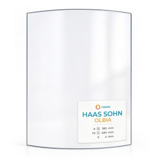 Haas Sohn OLBIA Glass - Curved Panel for Wood Burning Stove
