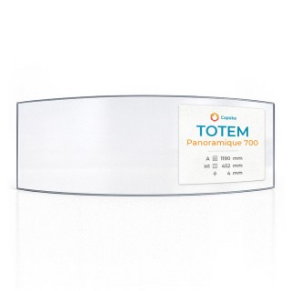 Vetro Totem PANORAMIQUE 700 - Vetro Curvo per inserto per caminetto