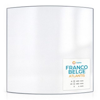Franco Belge ATLANTIS Glass - Curved Panel for Wood Burning Stove