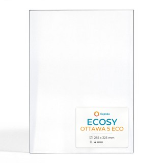 Ecosy OTTAWA 5 ECO Glas - Rechteck Kaminglas für Kaminofen
