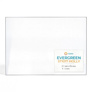 Vetro Evergreen ST1017 HOLLY - Vetro Rettangolo per stufa a legna