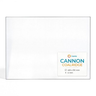 Vetro Cannon COALRIDGE - Vetro Rettangolo per stufa a legna