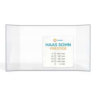 Vitre Haas Sohn PRESTIGE - Verre Prismatique pour insert