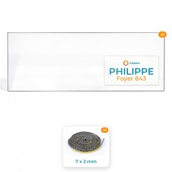 Philippe FOYER 843 (side glass) - Rectangular panel Pack