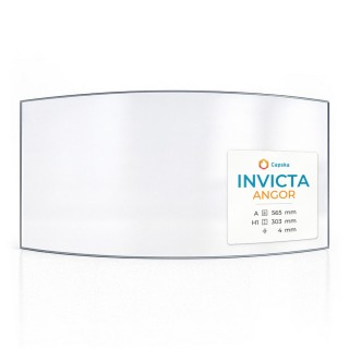 Invicta ANGOR Glass - Curved Panel for Wood Burning Stove