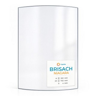 Brisach NIAGARA Glass - Curved Fireplace Insert Panel