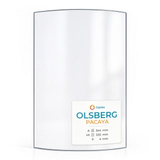 Glas für Kaminofen: Olsberg PACAYA in sich gebogenes Glas