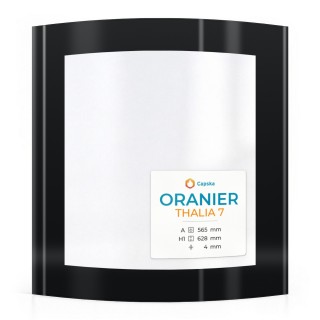 Oranier THALIA 7 Glas - in sich gebogenes Siebdruck Kaminglas