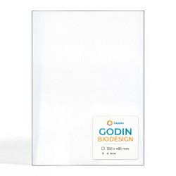 Godin BIODESIGN Glas - Rechteck Kaminglas für Kaminofen
