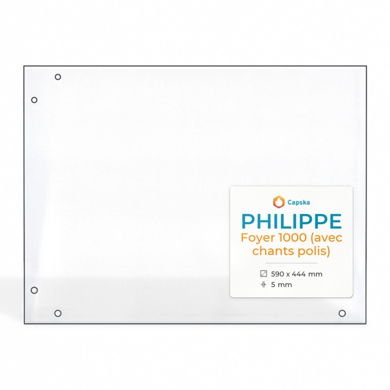 Philippe FOYER 1000 Glass Panel - Fireplace Insert