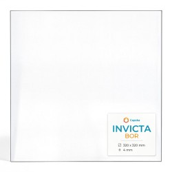 Invicta BOR Glass - Rectangular glass panel for wood burning stove