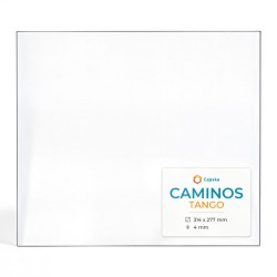Vitre Caminos TANGO - Verre Rectangle pour poêle à bois