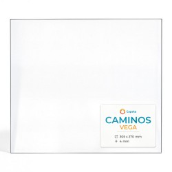Caminos VEGA Glas - Rechteck Kaminglas für Kaminofen