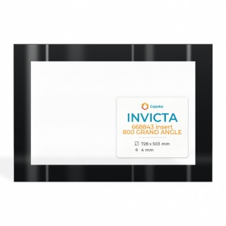 Invicta 668843 INSERT 800 GRAND ANGLE Glas - Rechteck Siebdruck Kaminglas