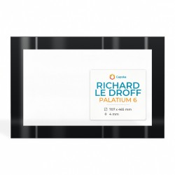 Vitre Richard Le Droff PALATIUM 6 - Verre Rectangle Sérigraphié pour insert