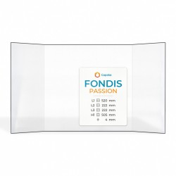 Vitre Fondis PASSION - Verre Prismatique pour insert