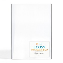 Vetro Ecosy OTTAWA 5 ECO - Vetro Rettangolo per stufa a legna