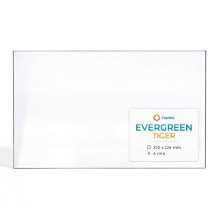 Evergreen TIGER Glass Panel for Wood Burning Stove