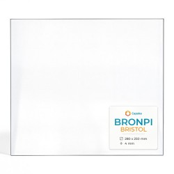 Vitre Bronpi BRISTOL - Verre Rectangle pour insert