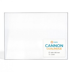 Vitre Cannon COALRIDGE - Verre Rectangle pour poêle à bois