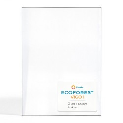 Vitre Ecoforest VIGO I - Verre Rectangle pour poêle à granulés