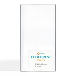 Vetro Ecoforest MIAMI - Vetro Rettangolo per stufa a pellet